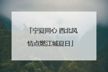 宁夏同心 西北风情点燃江城夏日