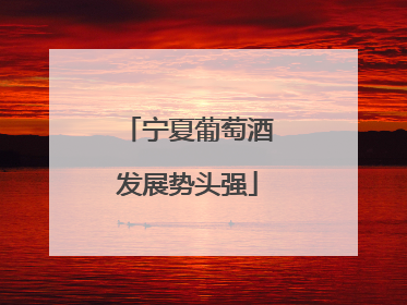 宁夏葡萄酒发展势头强