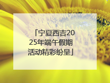 宁夏西吉2025年端午假期活动精彩纷呈