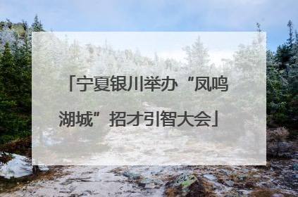 宁夏银川举办“凤鸣湖城”招才引智大会