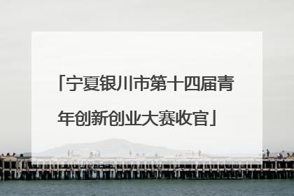 宁夏银川市第十四届青年创新创业大赛收官