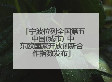 宁波位列全国第五 中国(城市)-中东欧国家开放创新合作指数发布