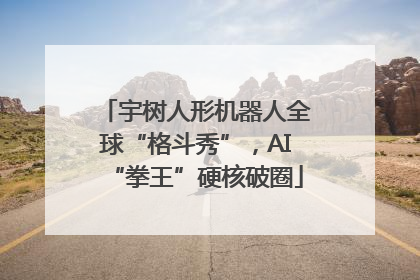 宇树人形机器人全球“格斗秀”，AI“拳王”硬核破圈