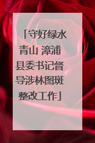 守好绿水青山 漳浦县委书记督导涉林图斑整改工作