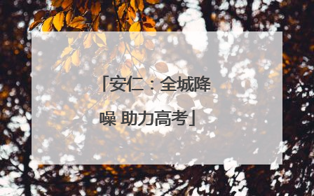 安仁：全城降噪 助力高考