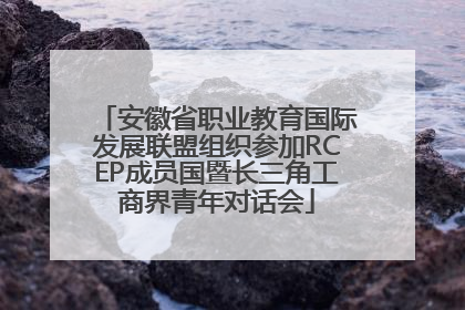 安徽省职业教育国际发展联盟组织参加RCEP成员国暨长三角工商界青年对话会