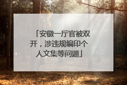 安徽一厅官被双开，涉违规编印个人文集等问题