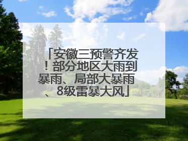 安徽三预警齐发！部分地区大雨到暴雨、局部大暴雨、8级雷暴大风
