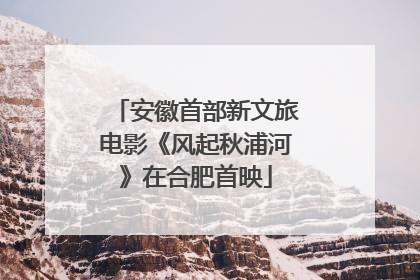 安徽首部新文旅电影《风起秋浦河》在合肥首映