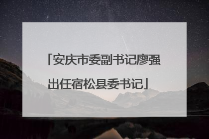 安庆市委副书记廖强出任宿松县委书记