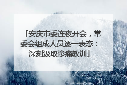 安庆市委连夜开会，常委会组成人员逐一表态：深刻汲取惨痛教训