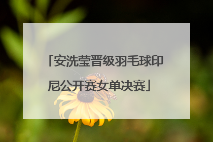 安洗莹晋级羽毛球印尼公开赛女单决赛