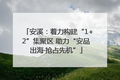 安溪：着力构建“1+2”集聚区 助力“安品出海·抢占先机”