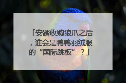 安踏收购狼爪之后，谁会是鸭鸭羽绒服的“国际跳板”？