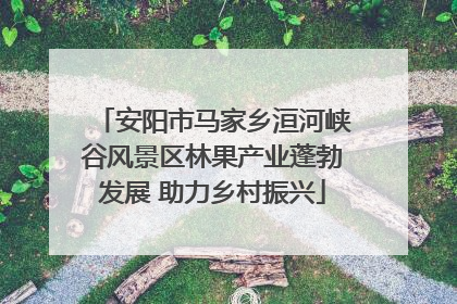 安阳市马家乡洹河峡谷风景区林果产业蓬勃发展 助力乡村振兴