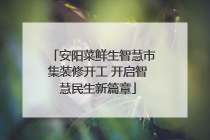 安阳菜鲜生智慧市集装修开工 开启智慧民生新篇章