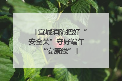 宜城消防把好“安全关”守好端午“安康线”