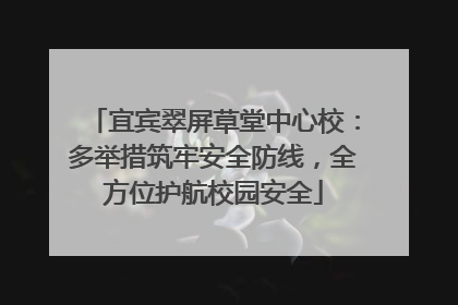 宜宾翠屏草堂中心校：多举措筑牢安全防线，全方位护航校园安全