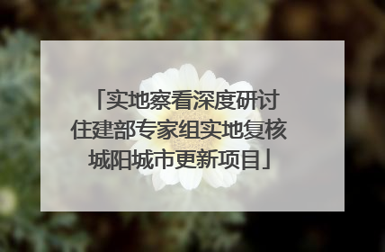 实地察看深度研讨 住建部专家组实地复核城阳城市更新项目