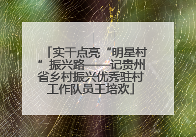 实干点亮“明星村”振兴路——记贵州省乡村振兴优秀驻村工作队员王培欢
