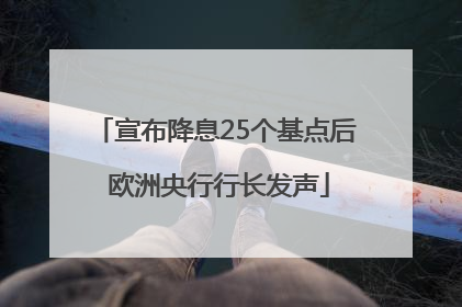 宣布降息25个基点后 欧洲央行行长发声