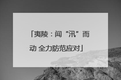 夷陵：闻“汛”而动 全力防范应对