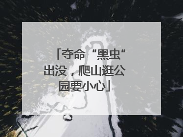 夺命“黑虫”出没，爬山逛公园要小心