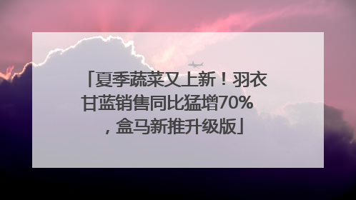 夏季蔬菜又上新！羽衣甘蓝销售同比猛增70%，盒马新推升级版