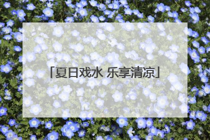 夏日戏水 乐享清凉