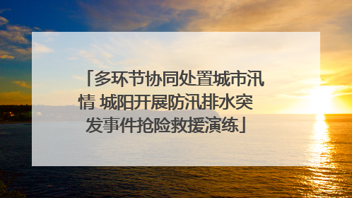 多环节协同处置城市汛情 城阳开展防汛排水突发事件抢险救援演练