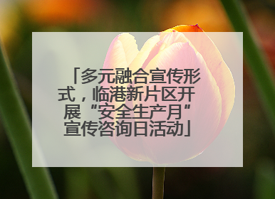 多元融合宣传形式，临港新片区开展“安全生产月”宣传咨询日活动