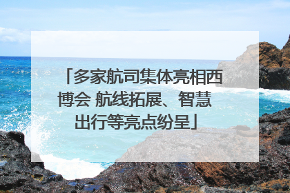 多家航司集体亮相西博会 航线拓展、智慧出行等亮点纷呈