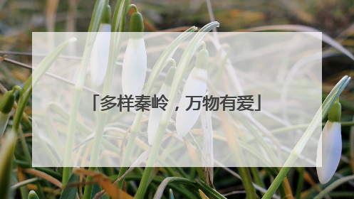多样秦岭，万物有爱