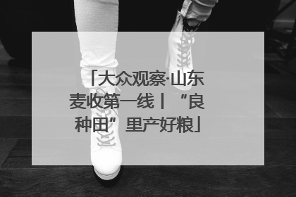 大众观察·山东麦收第一线丨“良种田”里产好粮