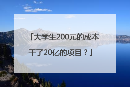 大学生200元的成本干了20亿的项目？