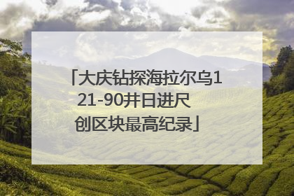 大庆钻探海拉尔乌121-90井日进尺 创区块最高纪录