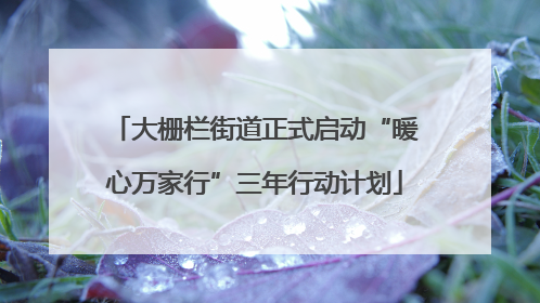 大栅栏街道正式启动“暖心万家行”三年行动计划