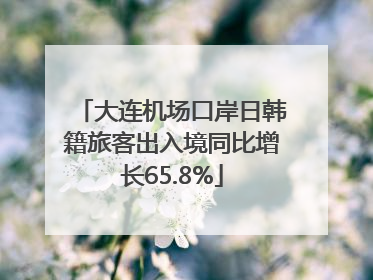 大连机场口岸日韩籍旅客出入境同比增长65.8%
