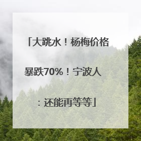 大跳水！杨梅价格暴跌70%！宁波人：还能再等等