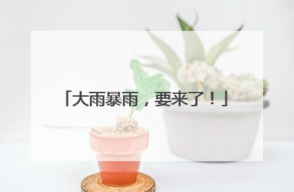 大雨暴雨，要来了！