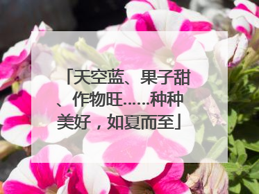 天空蓝、果子甜、作物旺……种种美好，如夏而至