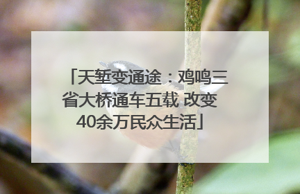 天堑变通途：鸡鸣三省大桥通车五载 改变40余万民众生活