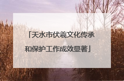 天水市伏羲文化传承和保护工作成效显著