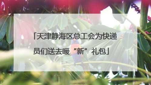 天津静海区总工会为快递员们送去暖“新”礼包