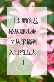 太原的荔枝从哪儿来？从采摘到入口约五天