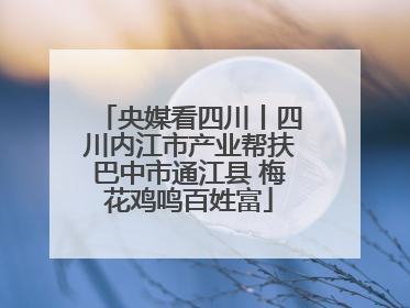 央媒看四川丨四川内江市产业帮扶巴中市通江县 梅花鸡鸣百姓富