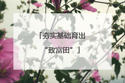 夯实基础育出“致富田”