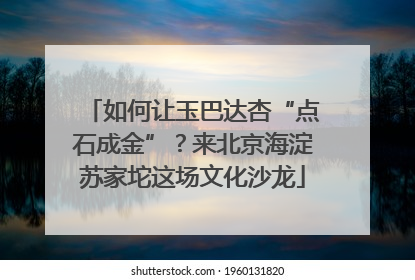 如何让玉巴达杏“点石成金”？来北京海淀苏家坨这场文化沙龙