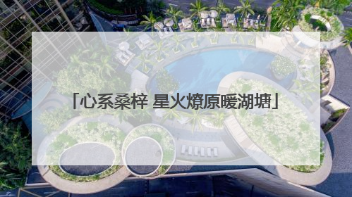 心系桑梓 星火燎原暖湖塘