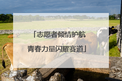 志愿者倾情护航 青春力量闪耀赛道